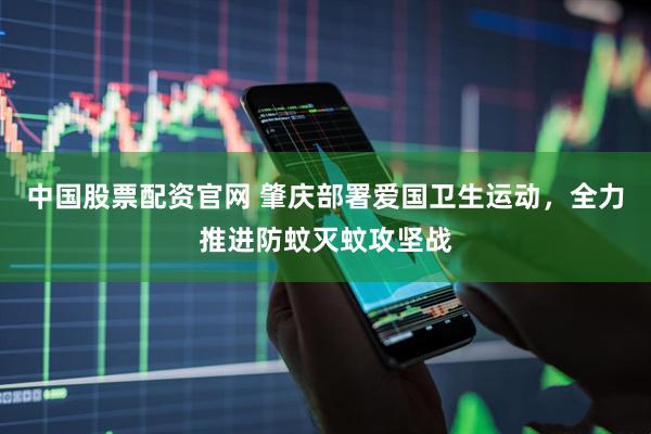 中国股票配资官网 肇庆部署爱国卫生运动，全力推进防蚊灭蚊攻坚战